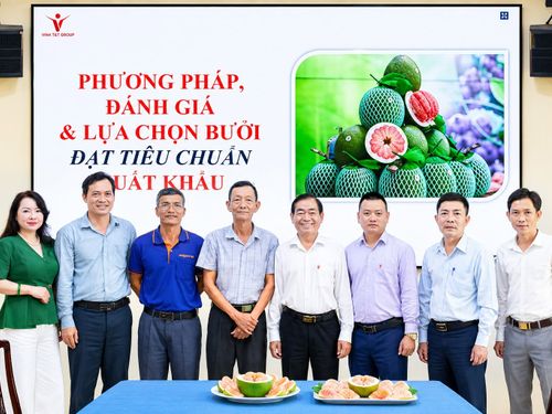 Vina T&T Group đồng hàng cùng Trị An phát triển chuỗi giá trị bưởi xuất khẩu