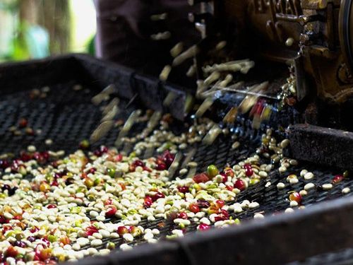 Giá nguyên liệu ngành chế biến nông sản liên tục biến động: Doanh nghiệp ứng phó thế nào?