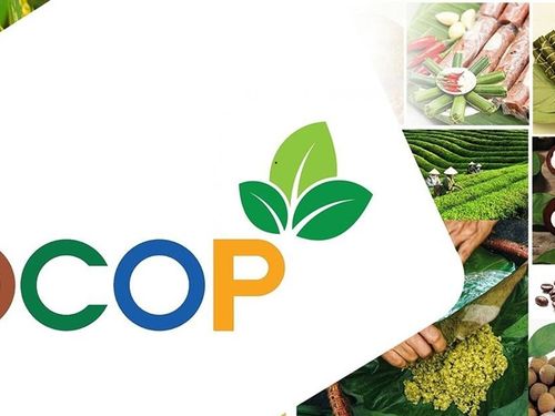 Doanh nghiệp nào đang thực sự “thắng” trong OCOP?