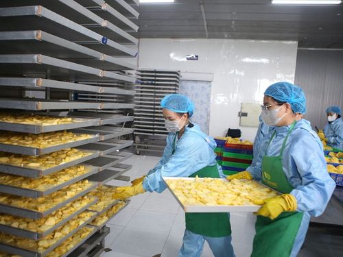 Chế biến nông sản: “nút thắt vàng” của công nghiệp nông thôn Việt Nam