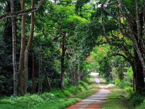 Điểm du lịch quanh Hà Nội khiến bạn chỉ muốn xách ba lô lên và đi ngay cuối tuần này