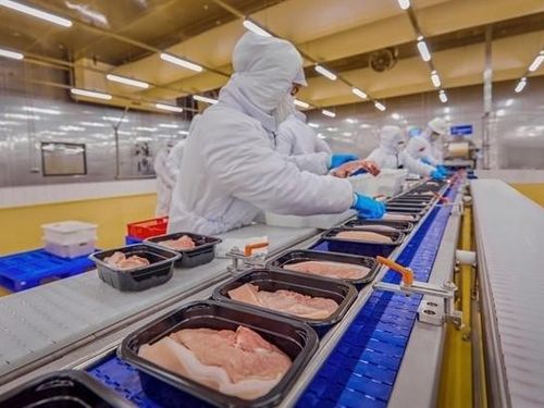 Ai đang thực sự hưởng lợi từ chuỗi chăn nuôi Việt Nam?