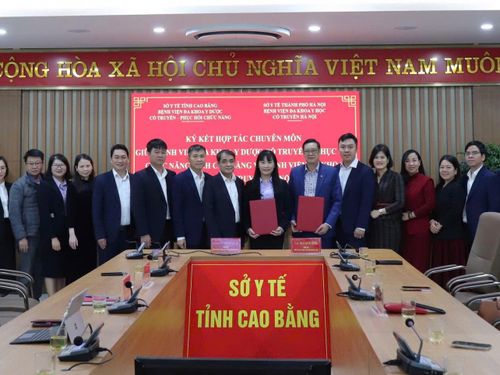 Bắt tay chiến lược giữa hai bệnh viện y học cổ truyền: Nâng tầm chất lượng điều trị, lan tỏa tinh hoa y học dân tộc