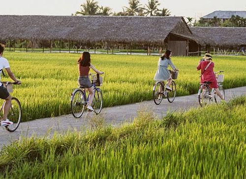Du lịch nông thôn bước vào kỷ nguyên số: Đòn bẩy mới cho kinh tế nông thôn bền vững
