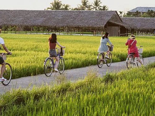 Du lịch nông thôn bước vào kỷ nguyên số: Đòn bẩy mới cho kinh tế nông thôn bền vững