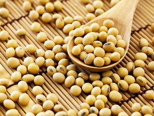 Tổng quan về vai trò dự phòng bệnh lý tim mạch của Nattokinase – Một sản phẩm được bào chế từ đậu nành