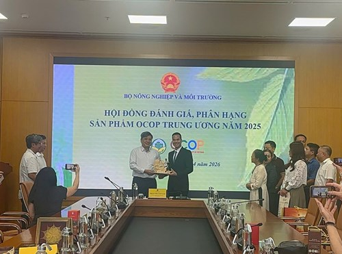 Rượu ba kích tím ngâm dưới Vịnh Hạ Long: hành trình từ đặc sản địa phương đến OCOP 5 sao quốc gia
