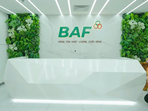 BAF Việt Nam nâng vốn lên hơn 3.600 tỷ đồng sau loạt phát hành cổ phiếu