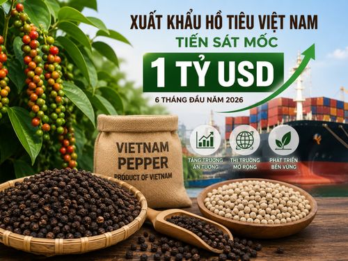 Hồ tiêu Việt Nam tiến sát mốc 1 tỷ USD xuất khẩu, củng cố vị thế trên thị trường thế giới