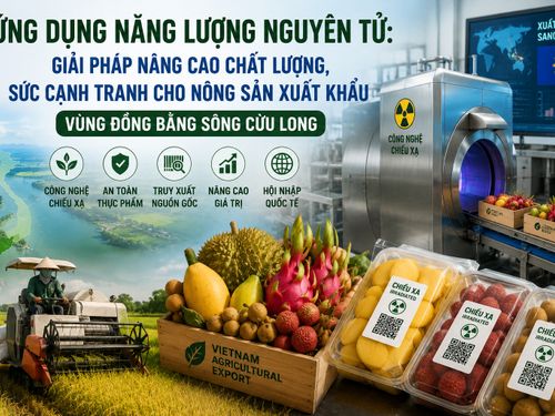 Ứng dụng năng lượng nguyên tử: 