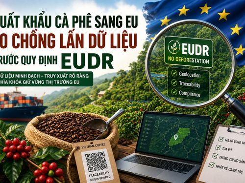 Xuất khẩu cà phê sang EU: Doanh nghiệp lo chồng lấn dữ liệu trước “rào cản” EUDR