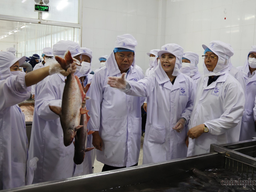 Xây dựng chuỗi liên kết bền vững, nâng cao giá trị nông sản và thủy sản Việt Nam