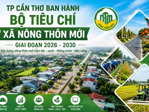 TP Cần Thơ ban hành Bộ tiêu chí xã nông thôn mới giai đoạn 2026–2030