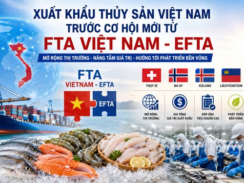 FTA Việt Nam - EFTA mở rộng dư địa xuất khẩu thủy sản vào phân khúc giá trị cao