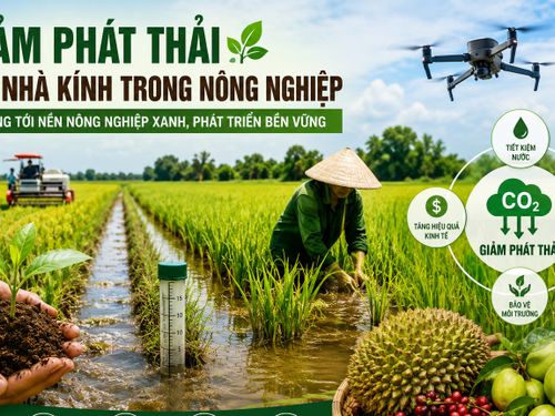 Giảm phát thải khí nhà kính trong nông nghiệp: Hướng đi tất yếu để nâng tầm nông sản Việt