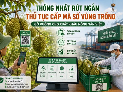 Thống nhất rút ngắn thủ tục cấp mã số vùng trồng, gỡ nút thắt cho xuất khẩu nông sản