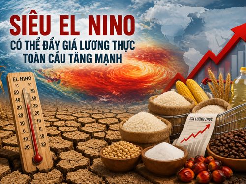 Siêu El Nino có thể thổi bùng giá lương thực toàn cầu, đe dọa an ninh lương thực nhiều quốc gia