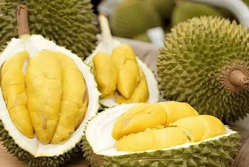 Giá sầu riêng hôm nay 14/7: Sầu riêng Thái tăng mạnh tại Đồng bằng sông Cửu Long, Ri6 phục hồi sau chuỗi giảm