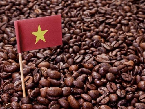 Cà phê Việt sau năm kỷ lục: Làm gì để không bỏ lỡ “thời điểm vàng”?