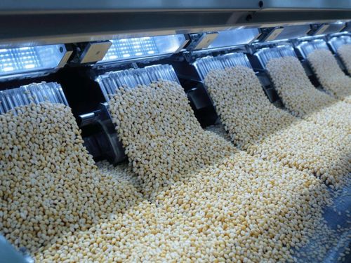 Máy tách màu AI: Công nghệ nâng chuẩn chất lượng nông sản Việt