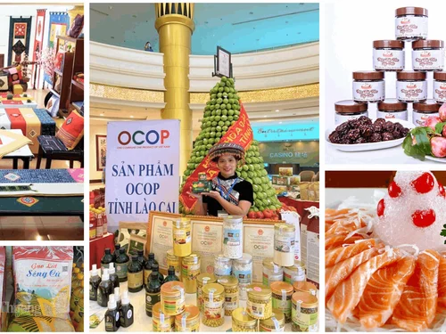 Lào Cai công nhận 58 sản phẩm OCOP đạt 3–4 sao, nhiều đặc sản vùng cao được nâng hạng