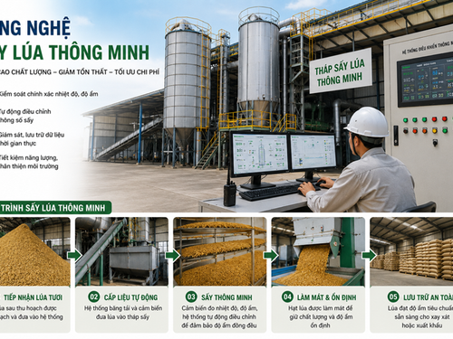 Không chỉ làm khô lúa: Công nghệ sấy thông minh đang tái định hình chất lượng gạo xuất khẩu