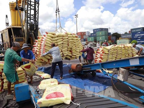 Nông lâm thủy sản Việt Nam: Xuất khẩu gần 36 tỷ USD, thị trường biến động mạnh