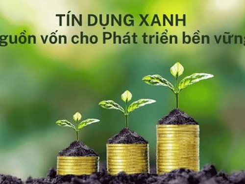 Tín dụng xanh: “Đòn bẩy” chiến lược cho doanh nghiệp công nghiệp nông thôn trong tiến trình tăng trưởng bền vững