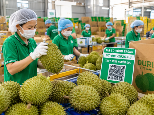 Hướng tới 74 tỷ USD xuất khẩu nông sản: Gỡ nút thắt từ thị trường đến vùng trồng