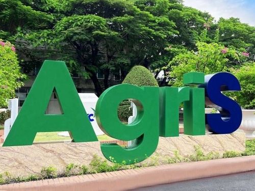AgriS chuyển dịch nguồn thu: Gạo và thực phẩm dần trở thành động lực mới