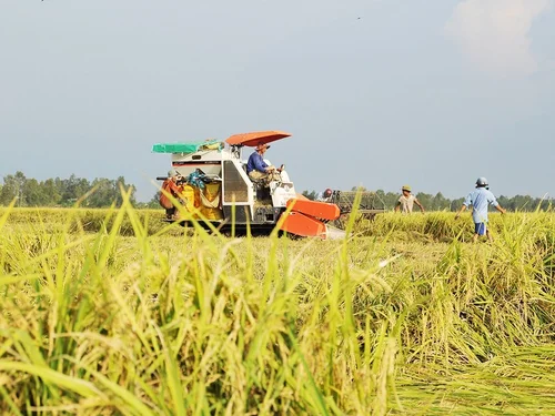 Phú Thọ có gần 1.800 hợp tác xã đang hoạt động, nông nghiệp vẫn là lĩnh vực chủ lực