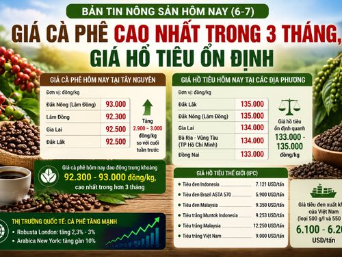 Giá nông sản hôm nay (6-7): Giá cà phê lên mức cao nhất trong hơn 3 tháng, hồ tiêu giữ giá ổn định