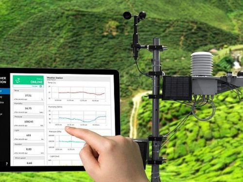 TP.HCM xây dựng hệ thống quan trắc môi trường, hướng tới phát triển chăn nuôi xanh và bền vững