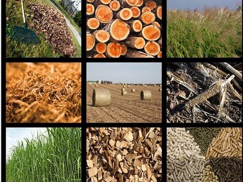 Phụ phẩm không còn là phế phẩm: Doanh nghiệp công nghiệp nông thôn kiếm tiền từ kinh tế tuần hoàn