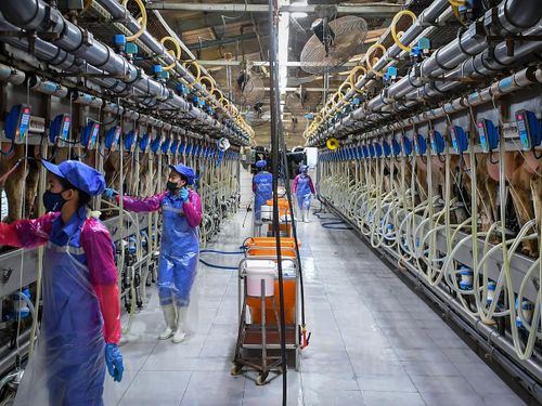 Không chỉ kiểm tra hồ sơ, khách hàng quốc tế đang muốn “tham quan” nhà máy từ xa