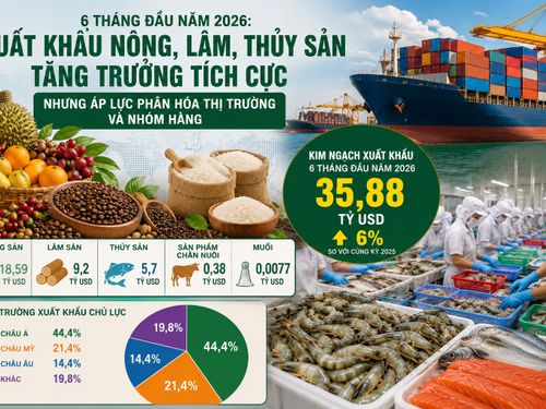 Xuất khẩu nông, lâm, thủy sản đạt gần 35,9 tỷ USD trong 6 tháng đầu năm 2026