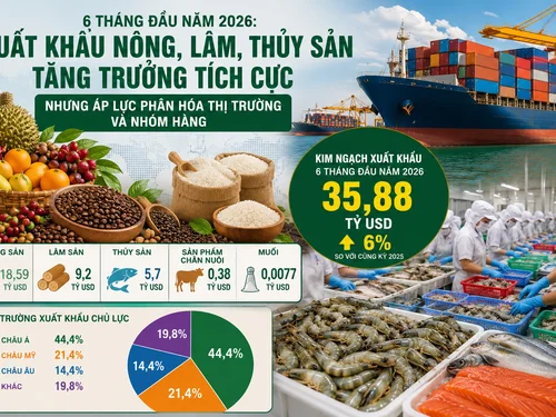 Xuất khẩu nông, lâm, thủy sản đạt gần 35,9 tỷ USD trong 6 tháng đầu năm 2026