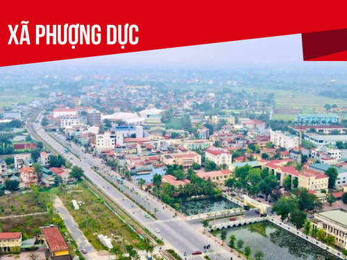 Phượng Dực tạo sức bật bằng thương mại điện tử, kiến tạo diện mạo mới cho làng nghề