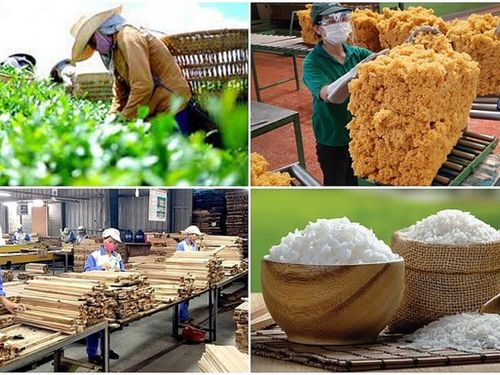 Chuỗi liên kết nông nghiệp: Từ mô hình hợp tác đến lợi thế cạnh tranh dài hạn