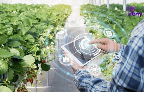 AI trong nông nghiệp: Từ dự báo thời tiết đến quản lý vùng nguyên liệu