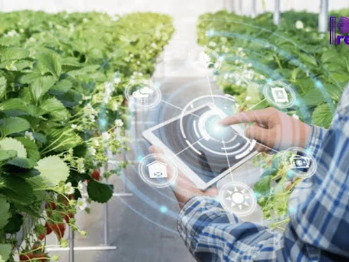 AI trong nông nghiệp: Từ dự báo thời tiết đến quản lý vùng nguyên liệu