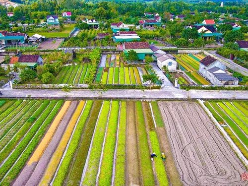Khuyến công Hà Tĩnh lấy chuyển đổi số làm động lực phát triển công nghiệp nông thôn