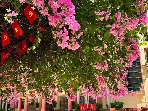 Tuyển sinh 2026: Công bố điểm sàn các trường đại học