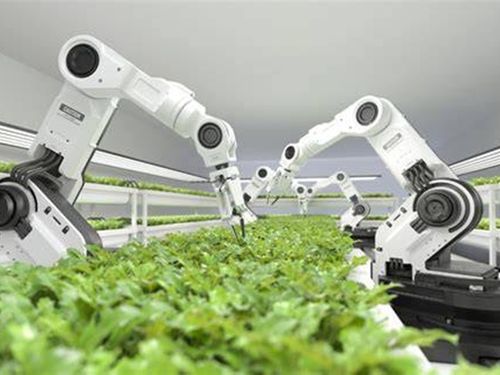 Robot nông nghiệp đang thay đổi cách người Việt canh tác