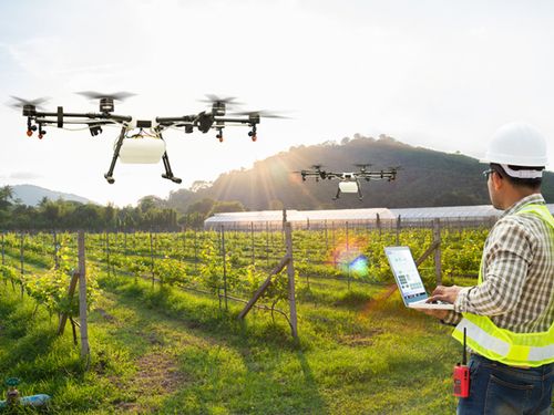 Máy bay không người lái đang thay đổi cách chăm sóc cây trồng