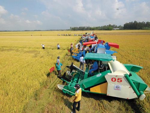 Thuê dịch vụ máy nông nghiệp: Giải pháp tiết kiệm cho sản xuất quy mô nhỏ