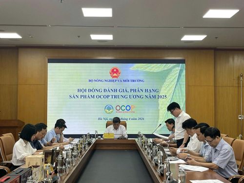 Cả nước có 166 sản phẩm OCOP 5 sao, mở rộng dư địa phát triển kinh tế nông thôn