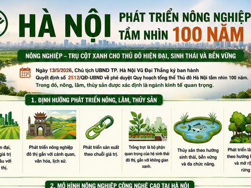 [Infographic] Hà Nội phát triển nông nghiệp tầm nhìn 100 năm