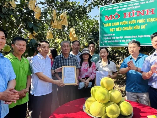 Hà Tĩnh dành hơn 22 tỷ đồng tạo động lực mới cho công nghiệp nông thôn
