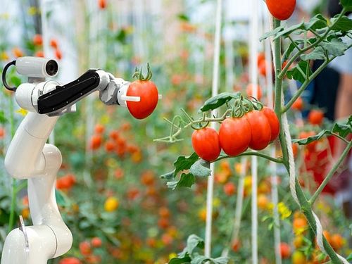 Từ công nghệ chiến lược đến bài toán lớn của nông nghiệp: Cần bắt đầu từ công nghệ lõi
